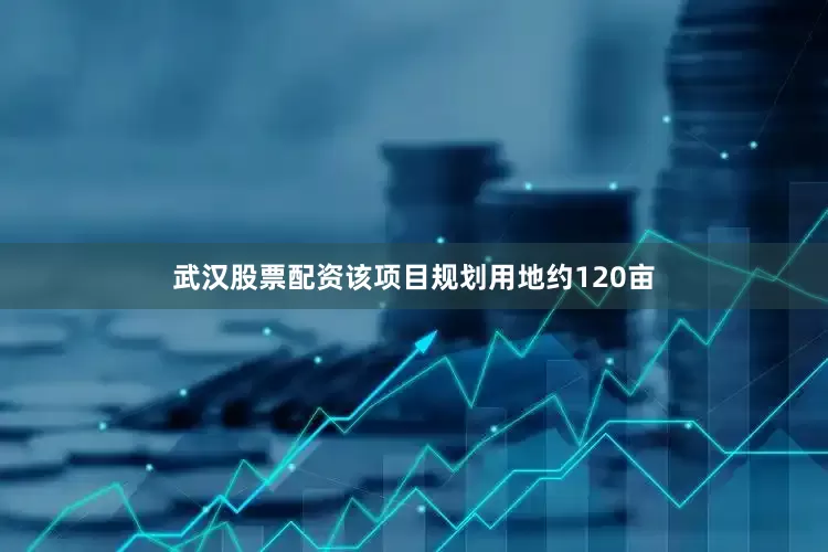 武汉股票配资该项目规划用地约120亩