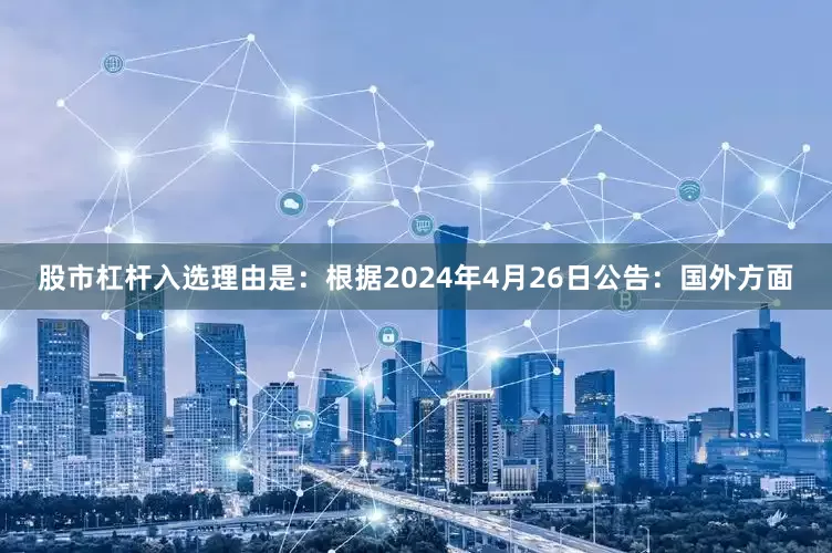 股市杠杆入选理由是：根据2024年4月26日公告：国外方面